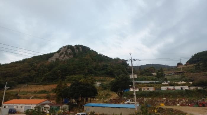 경상남도 통영시 욕지면 동항리 산104-22