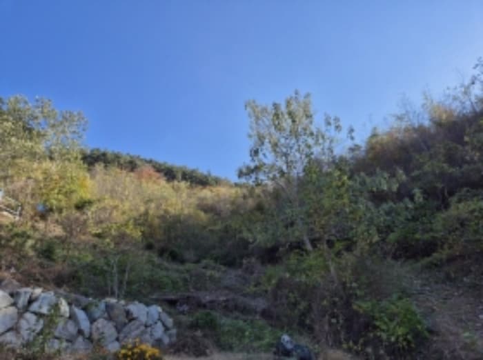 경상남도 고성군 회화면 삼덕리 산75-7 외 1 필지