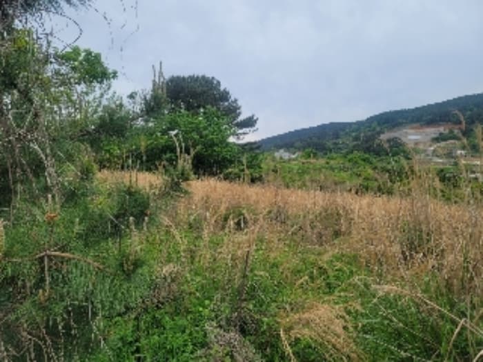 경상남도 통영시 용남면 화삼리 44