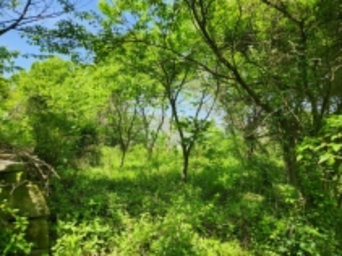 경상남도 고성군 상리면 신촌리 371