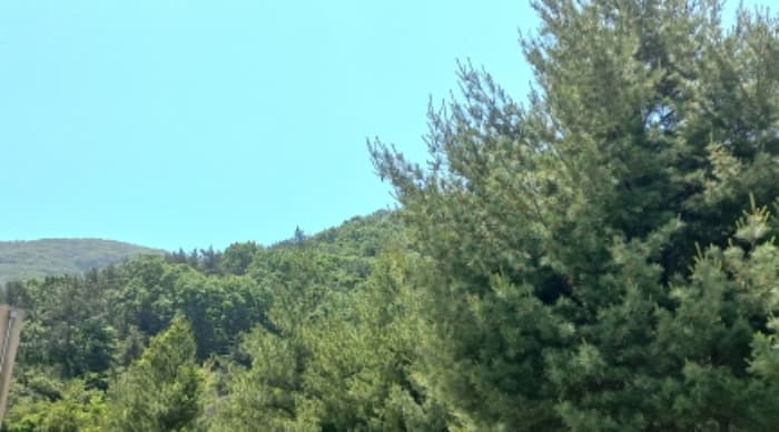 경상남도 거제시 양정동 산42