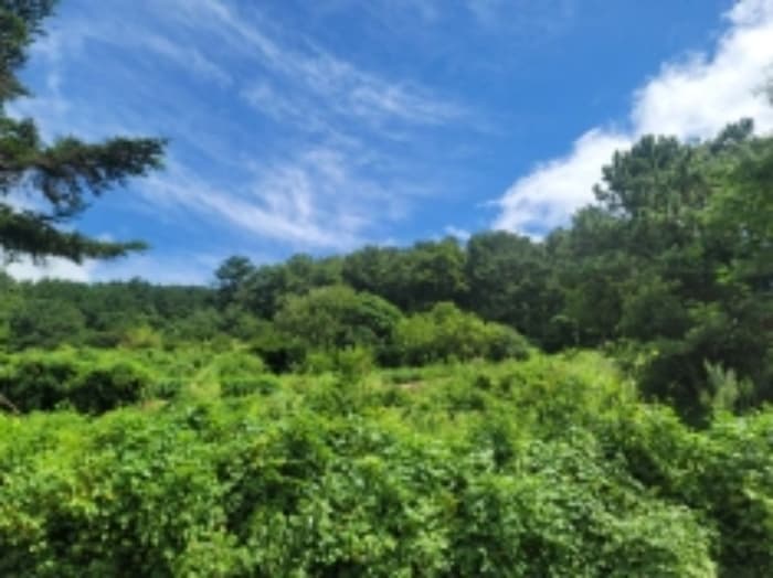경상남도 통영시 평림동 674