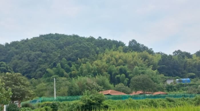 경상남도 거제시 연초면 송정리 산44-9