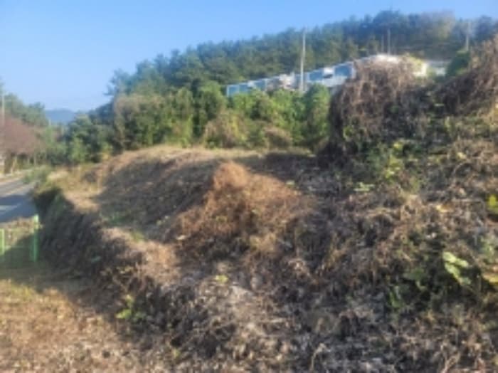 경상남도 통영시 도산면 오륜리 515