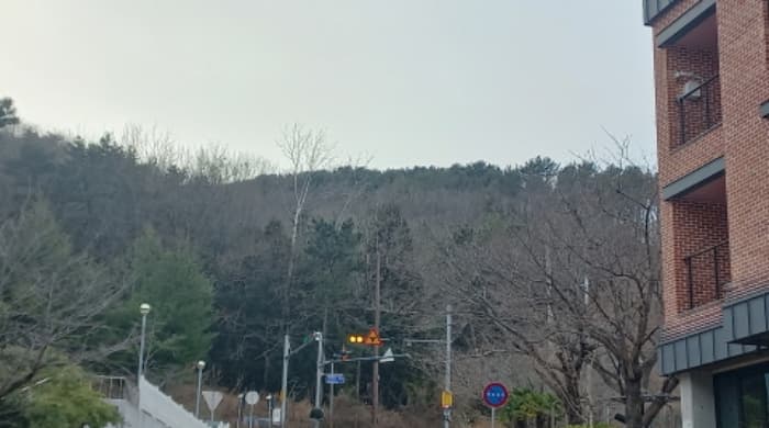 경상남도 거제시 양정동 산8-2
