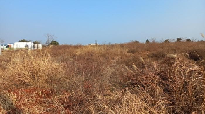 경상남도 거제시 장목면 율천리 5