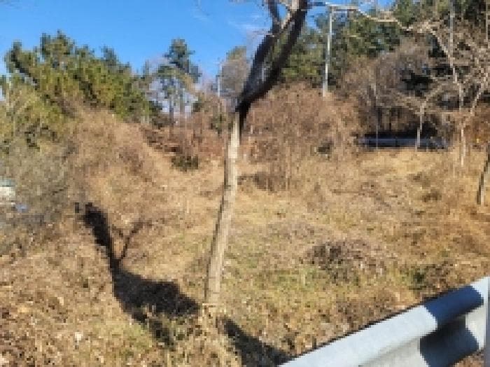 경상남도 거제시 사등면 창호리 1068-1 외 2 필지