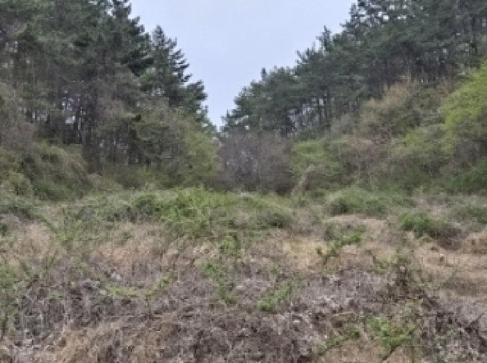 경상남도 고성군 삼산면 두포리 239-2