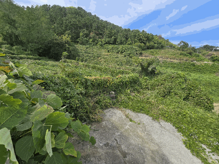 경상남도 거제시 장목면 외포리 541-6 주2동 외 2 필지