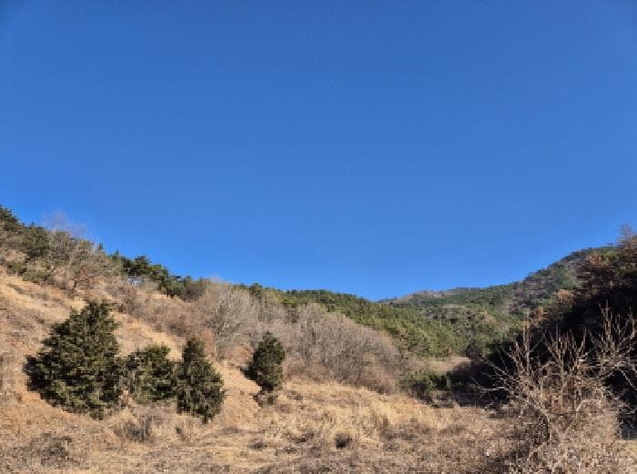 경상남도 고성군 하일면 송천리 428-1