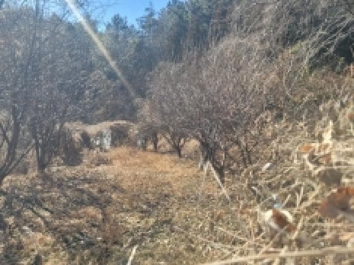 경상남도 통영시 도산면 법송리 1185