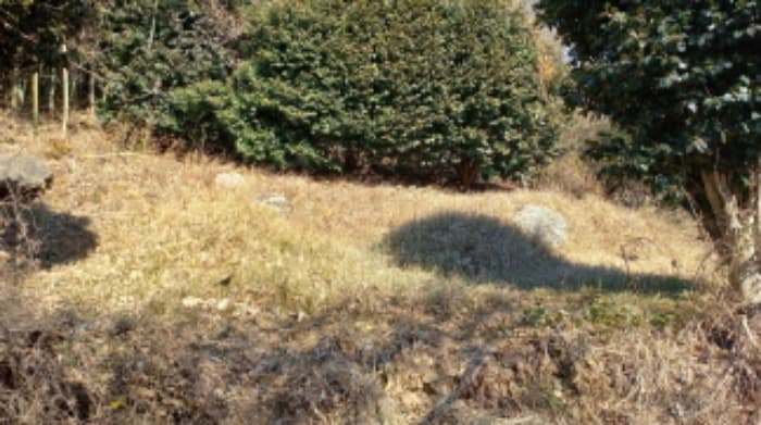 경상남도 거제시 하청면 연구리 597-3 외 1 필지