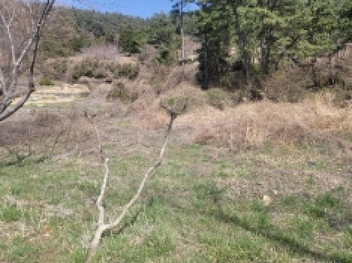경상남도 통영시 도산면 저산리 산121 외 1 필지