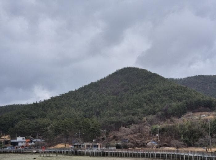 경상남도 고성군 삼산면 미룡리 산241-1 외 1 필지