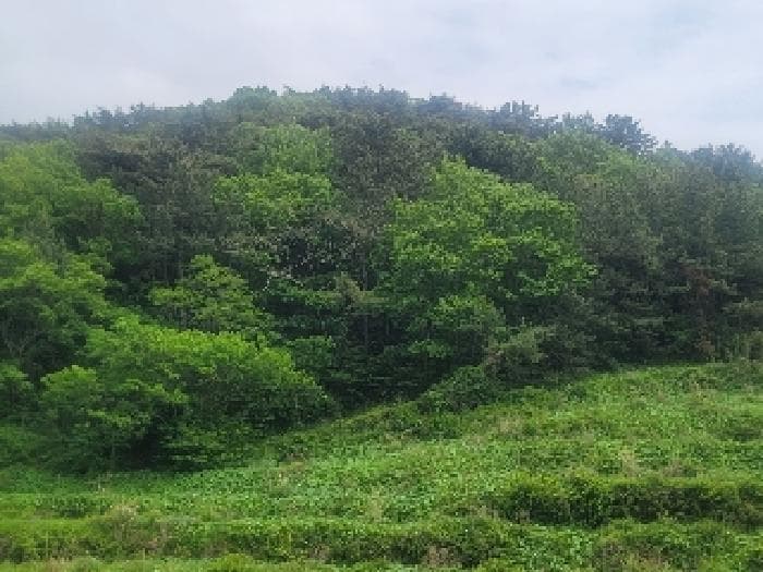 경상남도 통영시 산양읍 풍화리 산170 외 1 필지