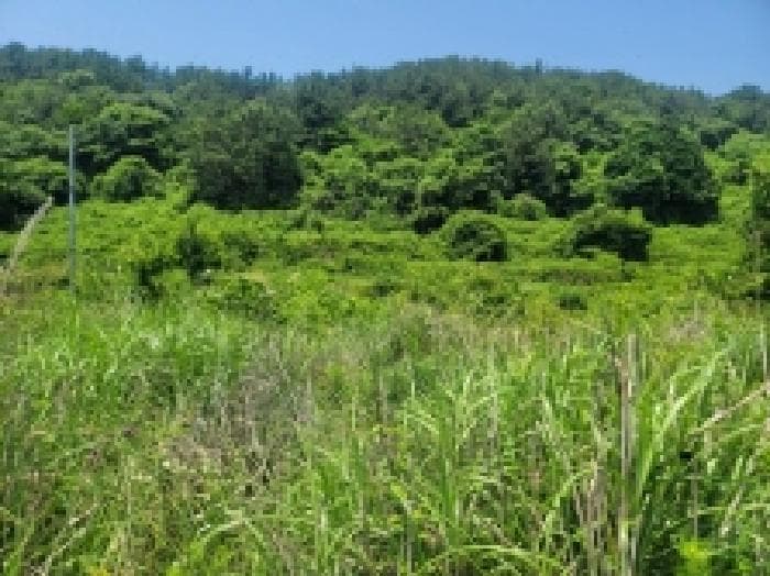 경상남도 통영시 사량면 읍덕리 산23-1