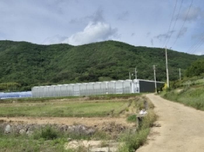 경상남도 고성군 마암면 신리 335-8 외 2 필지