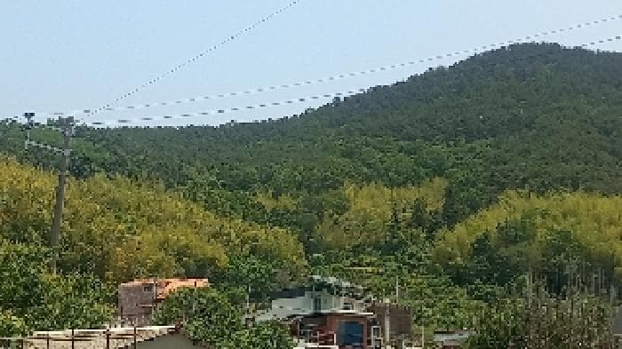 경상남도 거제시 하청면 실전리 산92