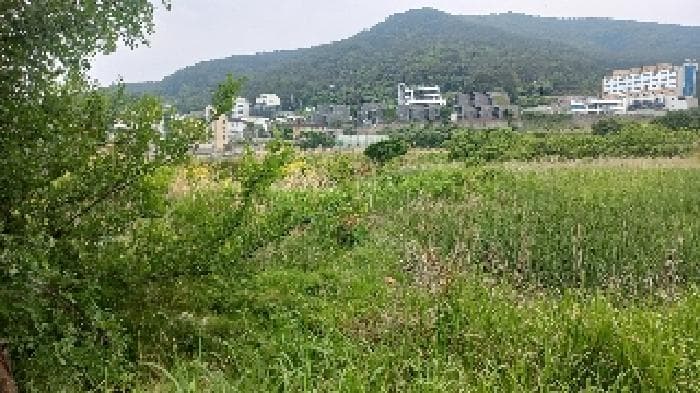 경상남도 거제시 일운면 와현리 411
