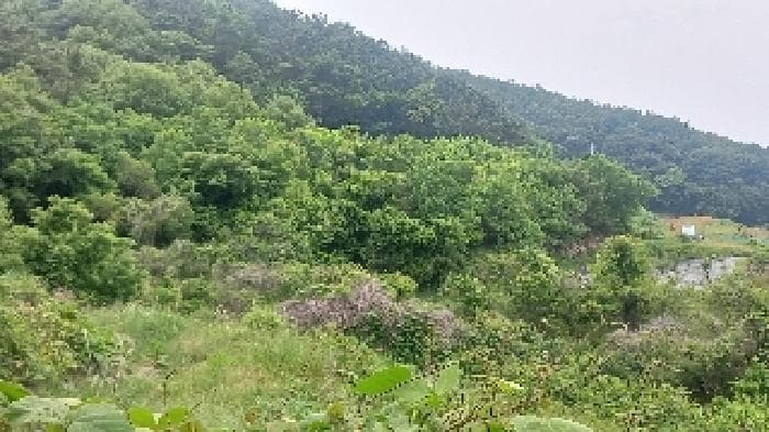경상남도 거제시 거제면 법동리 823 외 1 필지