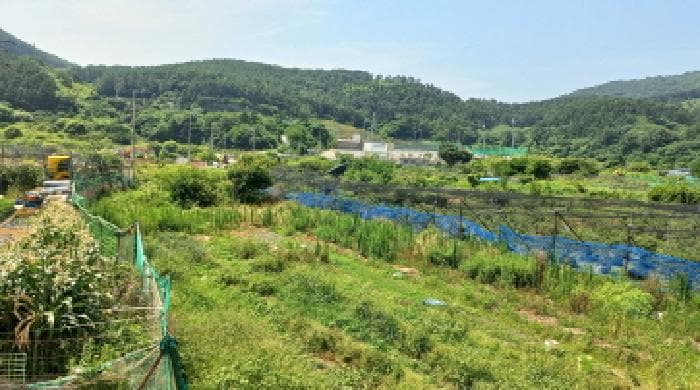 경상남도 거제시 일운면 지세포리 629