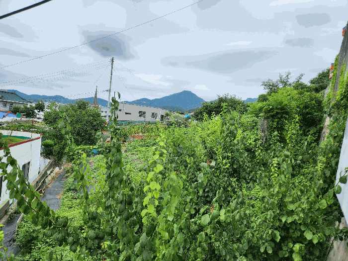 경상남도 통영시 도천동 894