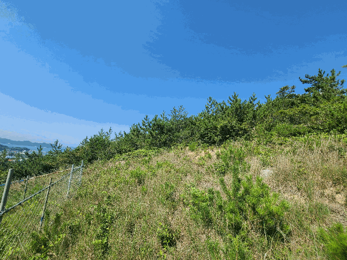 경상남도 거제시 둔덕면 학산리 산42-9 외 2 필지