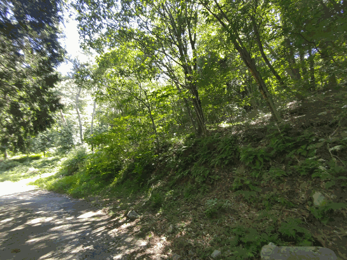 경상남도 거제시 아양동 산40