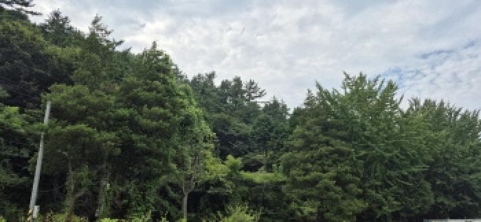 경상남도 고성군 마암면 삼락리 산258