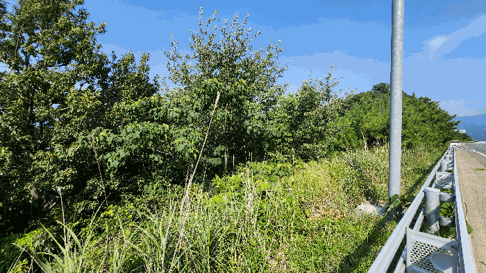 경상남도 거제시 고현동 산85-3 외 1 필지