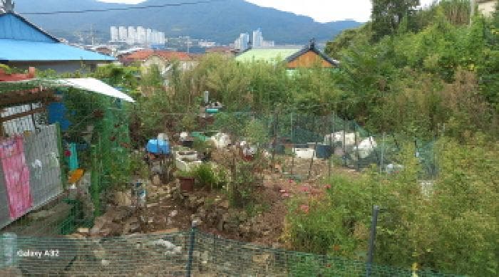 경상남도 거제시 일운면 지세포리 440