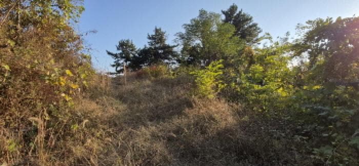 경상남도 고성군 하이면 월흥리 920-2 외 1 필지