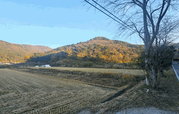 경상남도 거제시 동부면 부춘리 799-2
