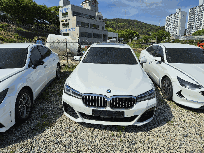 BMW BMW 530i 2023년식