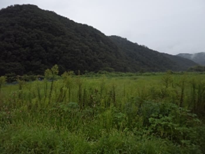 경상남도 밀양시 상남면 기산리 1643-1