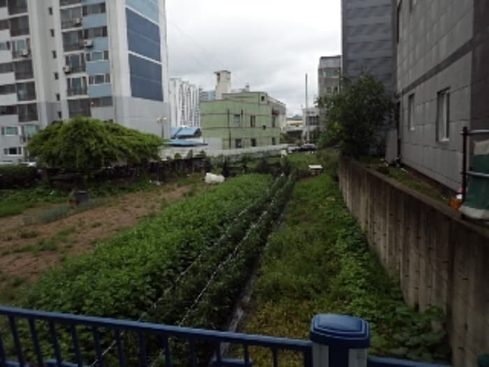 경상남도 밀양시 가곡동 479