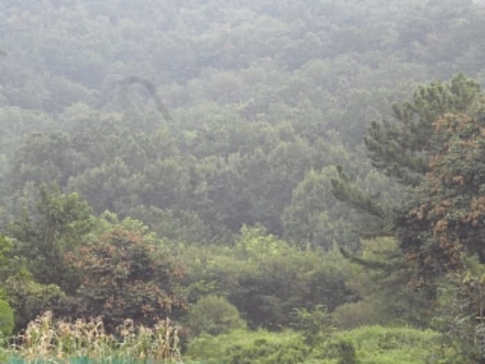 경상남도 창녕군 영산면 성내리 149