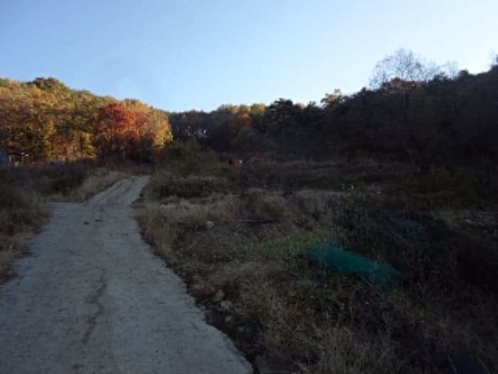 경상남도 밀양시 청도면 구기리 1517