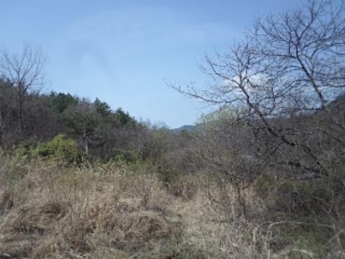 경상남도 밀양시 단장면 사연리 1063-2