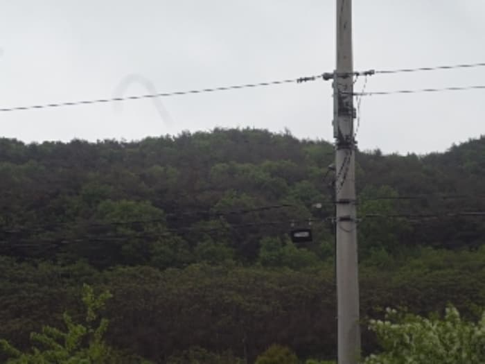 경상남도 밀양시 삼랑진읍 용전리 산184-5