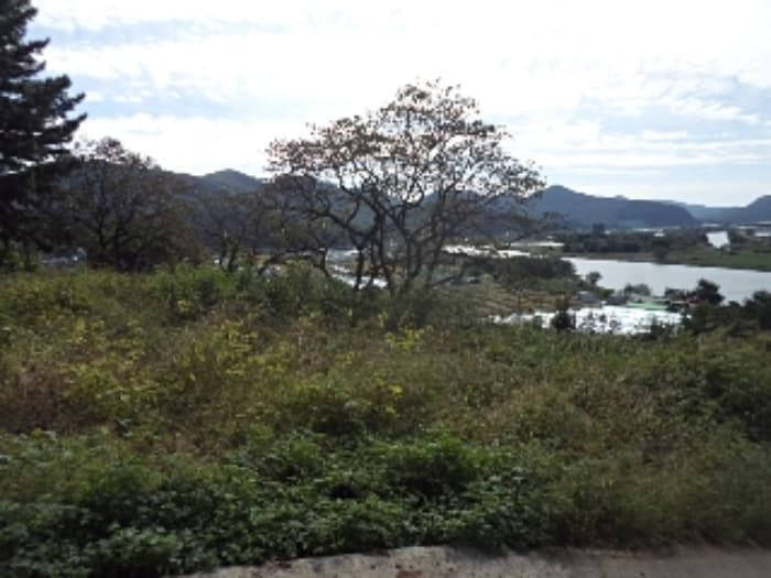 경상남도 밀양시 단장면 구천리 1043