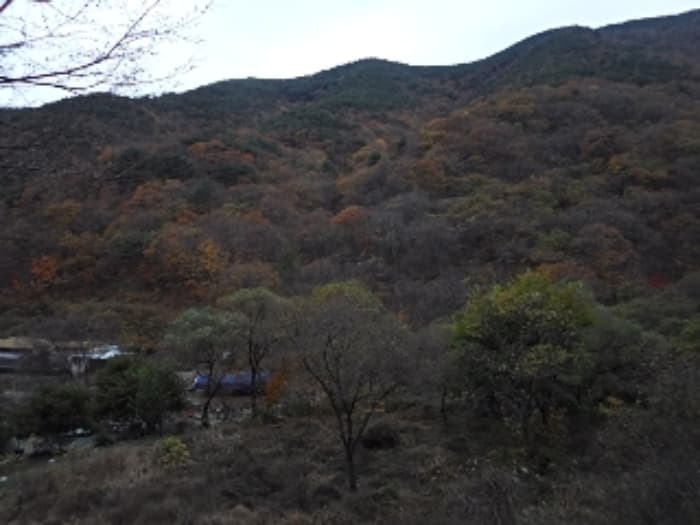 경상남도 밀양시 단장면 구천리 2272 외 1 필지