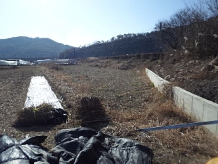 경상남도 밀양시 교동 290-10