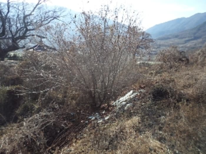 경상남도 밀양시 산내면 삼양리 1804-5