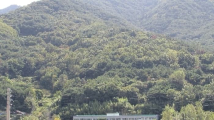 경상남도 창녕군 남지읍 대곡리 산10