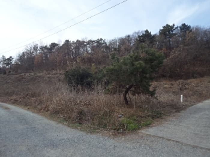 경상남도 창녕군 영산면 봉암리 95-1 외 1 필지