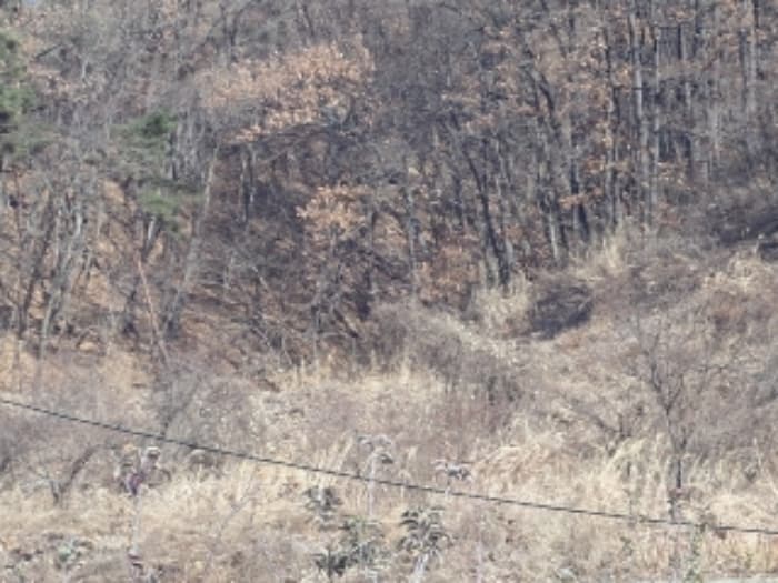 경상남도 밀양시 산내면 송백리 1033-3 외 1 필지