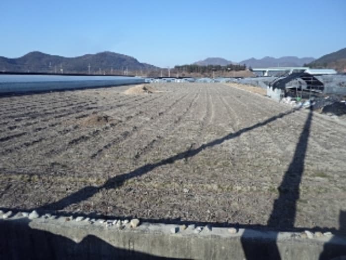 경상남도 밀양시 산외면 금천리 510-1