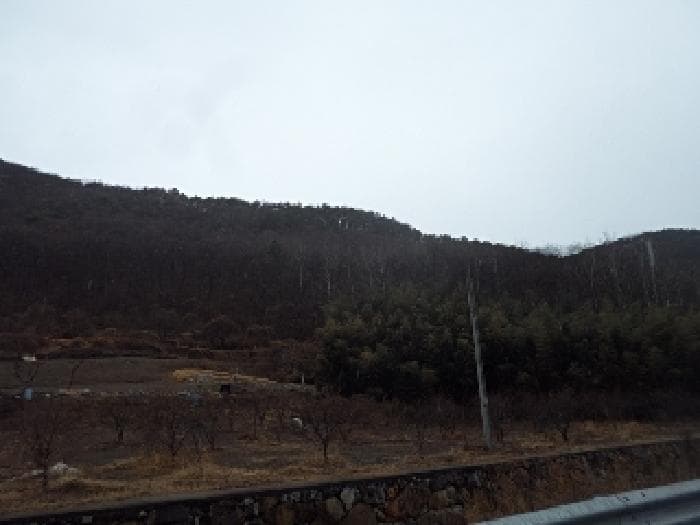 경상남도 밀양시 무안면 연상리 산250-1