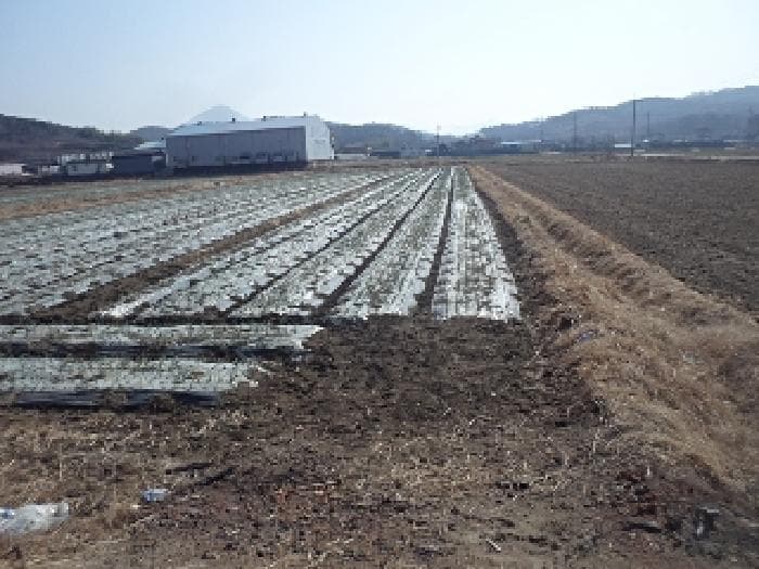 경상남도 창녕군 계성면 봉산리 967